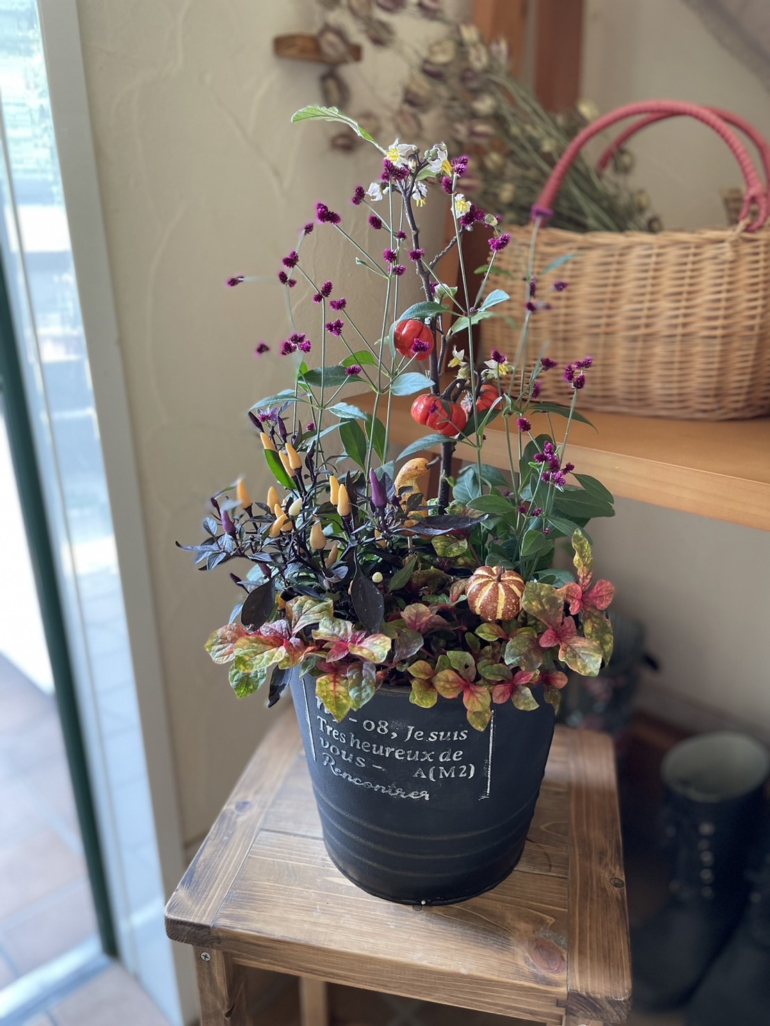 カンタンでかわいい季節の寄せ植え