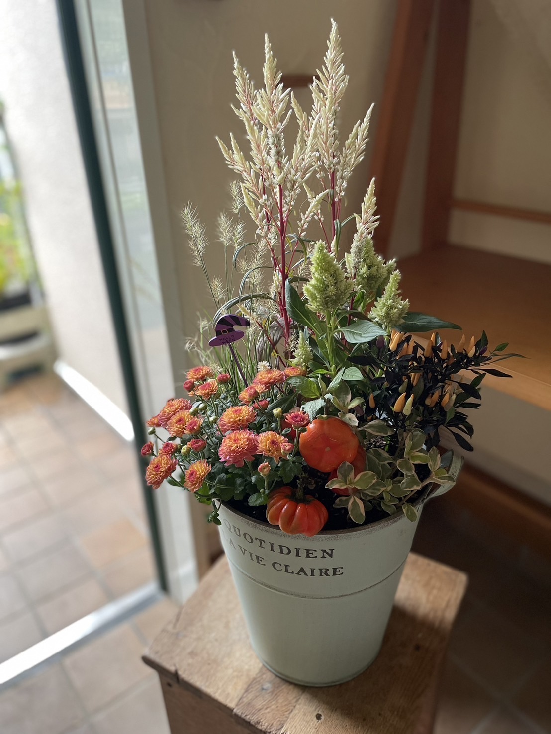 ボリュームたっぷり！花いっぱいの華やか寄せ植え