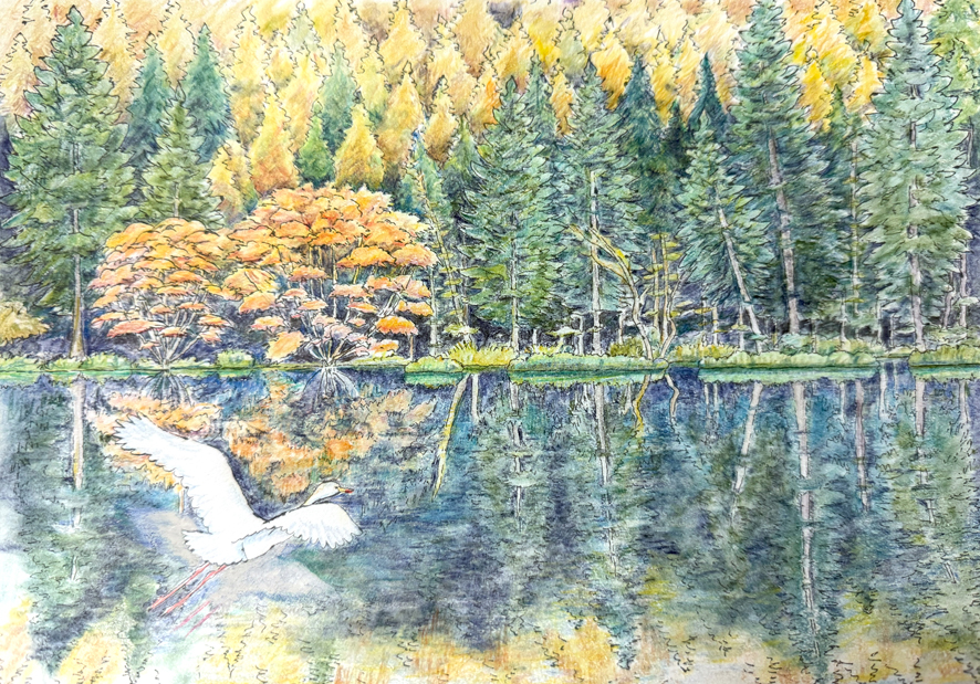 水彩色鉛筆を使ったコロリアージュ講座　