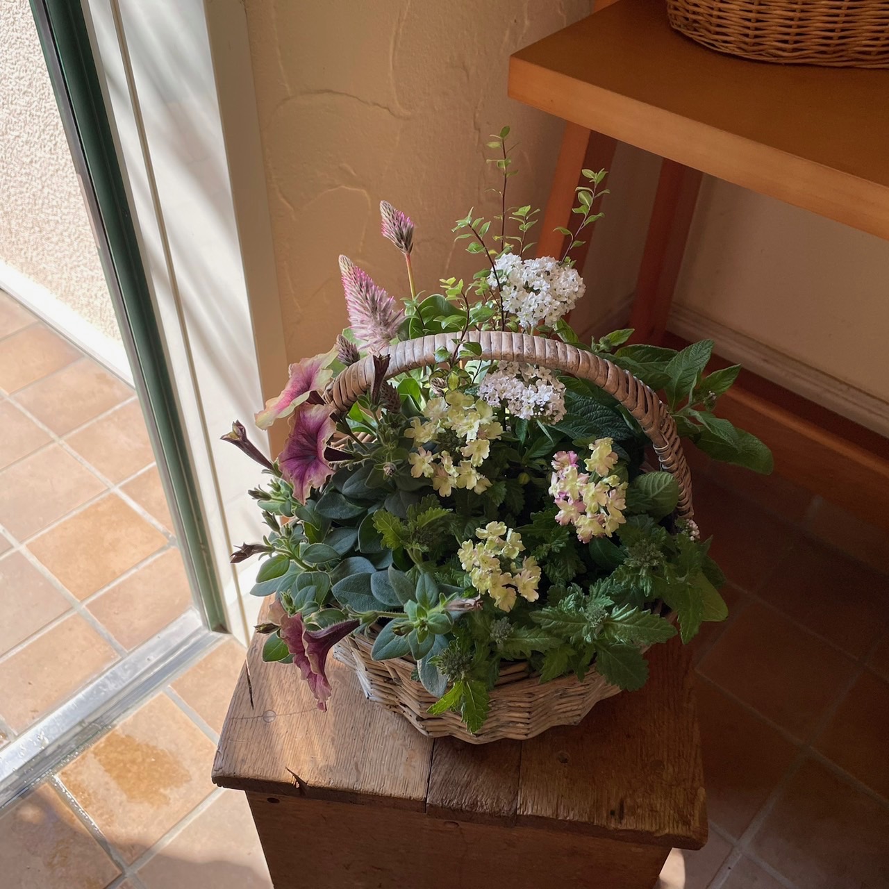  カンタンでかわいい季節の寄せ植え（初心者向け）