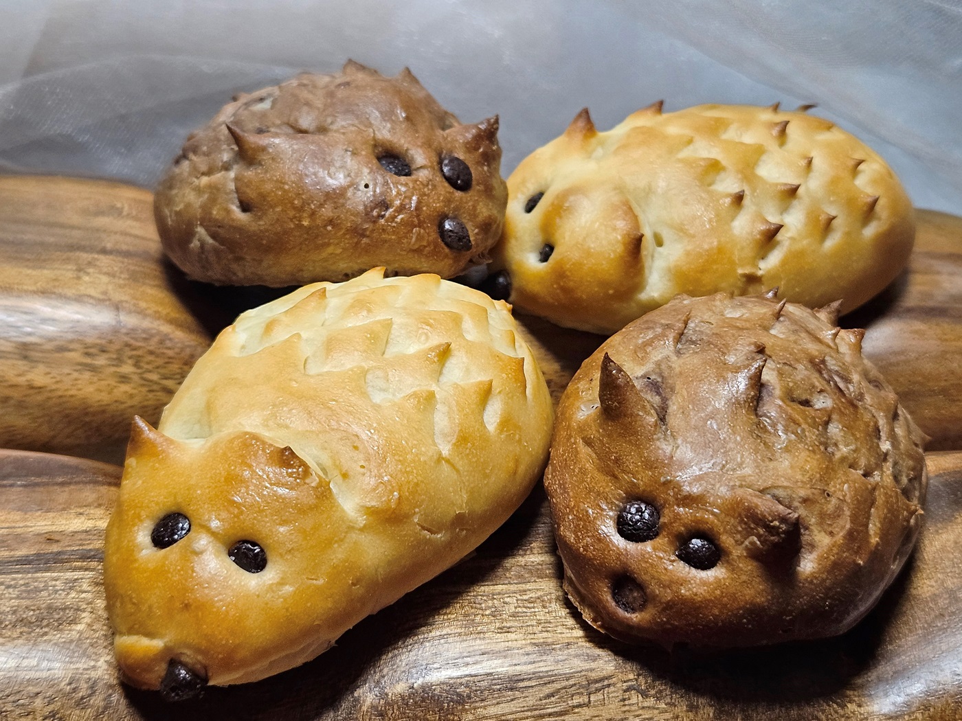 親子でパンづくり！～チョコとチーズのはりねずみ～