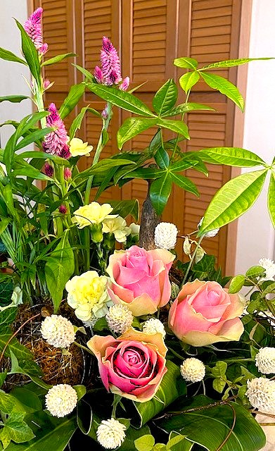 9月「観葉植物コケ玉&アレンジメント」