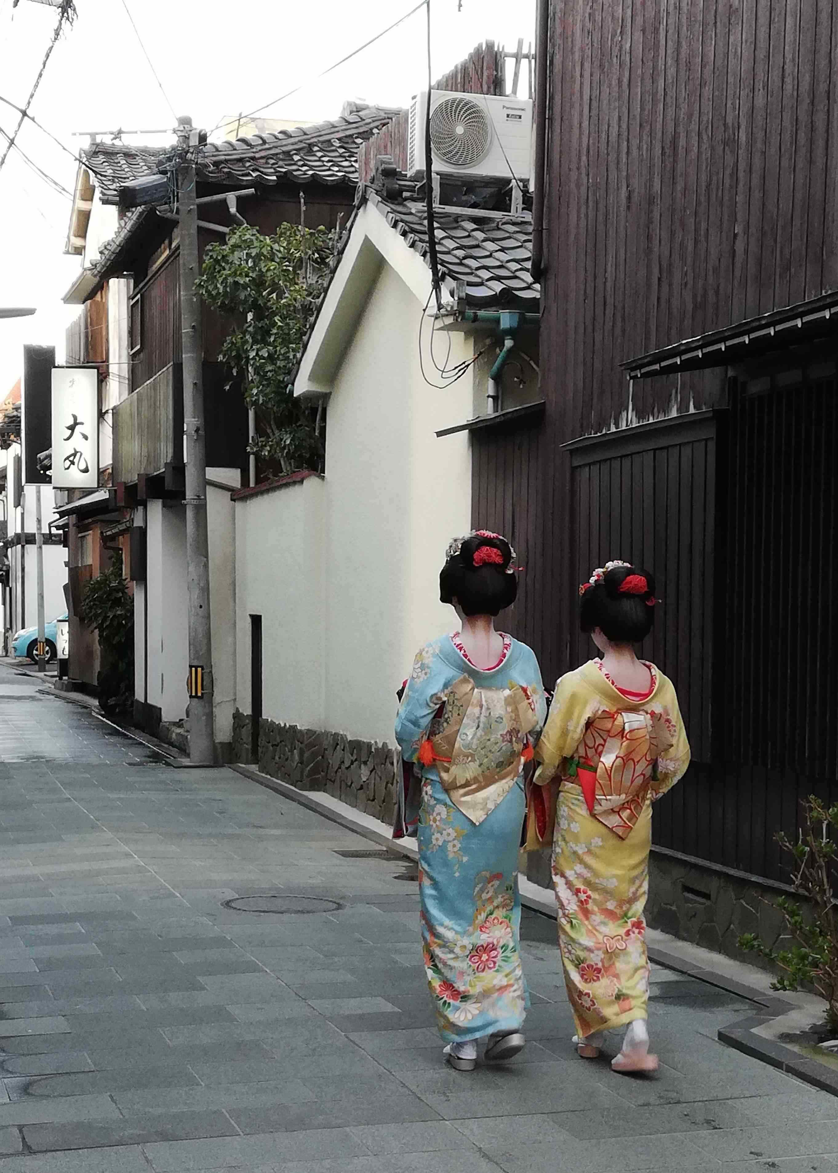 1day　全国花街探訪　～花街の起源と文化財を巡る～