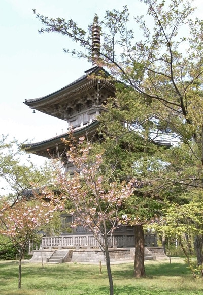 ~上越地方の文化財を耕す~ 郷土の歴史