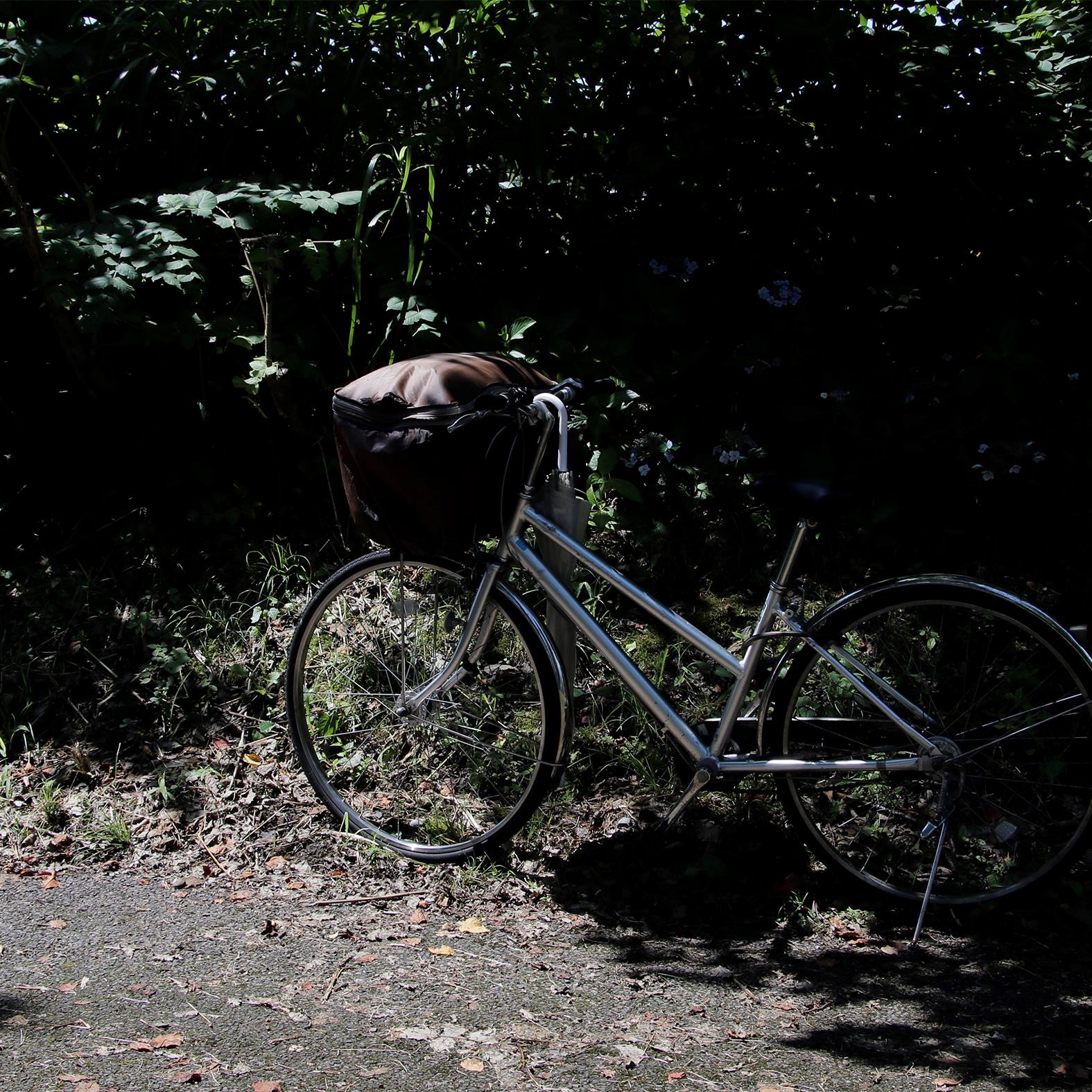 これからの写真が歩むべき道を探る写真前衛講座