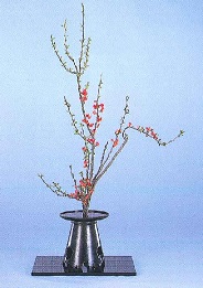 華道　池坊　(10月期）