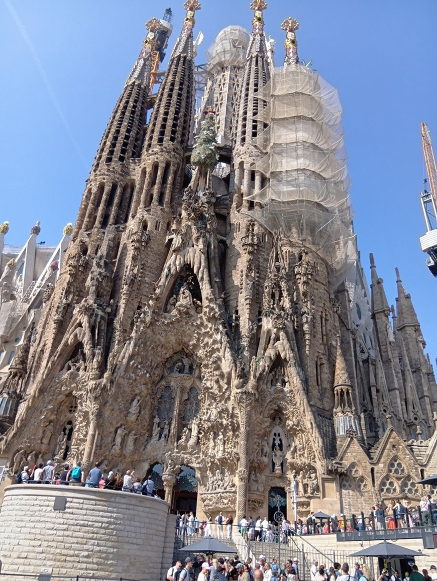 世界遺産を楽しく旅する　～人類と地球の歴史と未来～