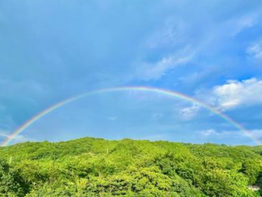 1day　名前が語る未来と可能性～姓名鑑定～