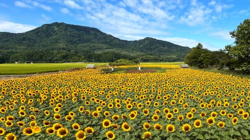 １day スマホ写真撮影と編集の基本が学べる講座 