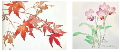 1day「花を描く（彩色）」