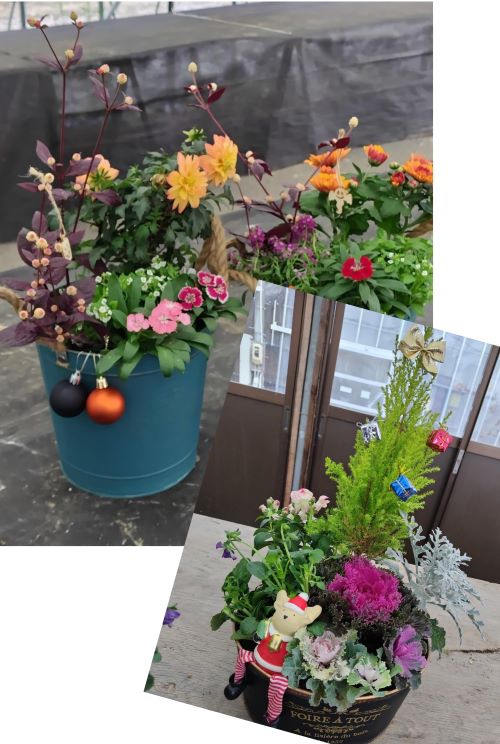 1day　センスアップ！寄せ植え講座