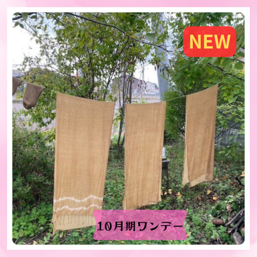 NEW【me-gaco】草木染めレッスン～秋編～（10月期）身近にある植物で染める〈栗のイガ〉