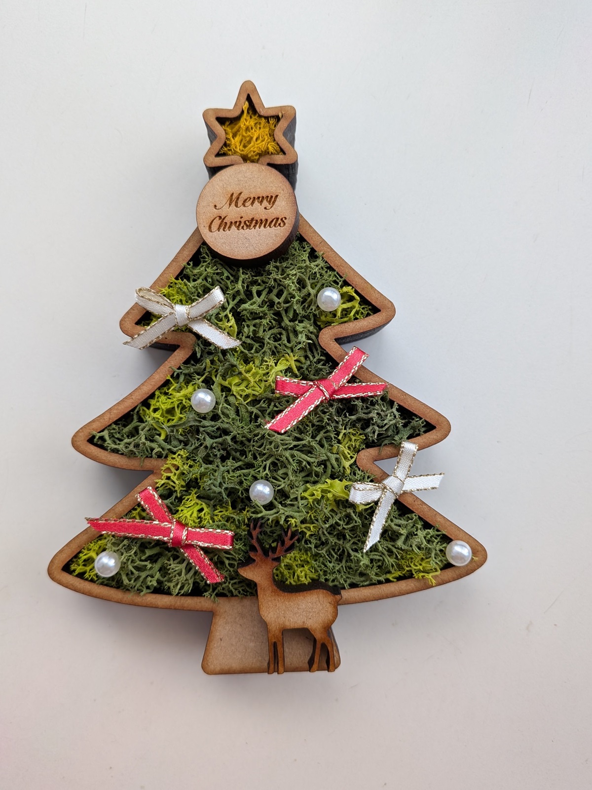 1day ふわもこモスでミニクリスマスツリーを作ろう！～スカンディアモス～