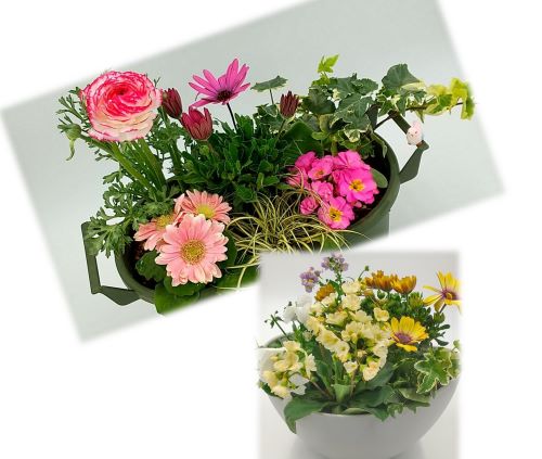 1day　センスアップ！寄せ植え講座初めてでも簡単！