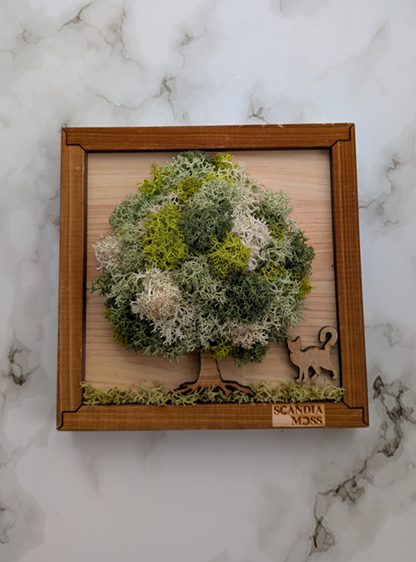 1day ふわもこモスでミニツリーを作ろう！～スカンディアモス～