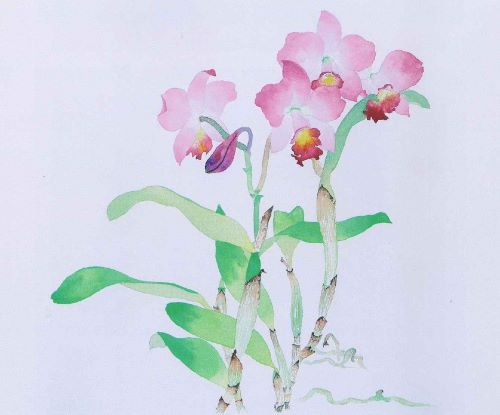 花のスケッチ　Ａ経験者・Ｂ初心者　