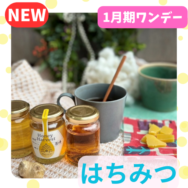  【me-gaco】ミツバチからの贈り物（1月期）『みつろうラップとジンジャーシロップ作り』