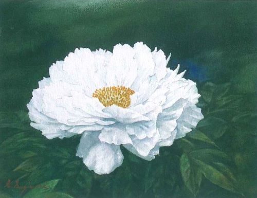 デッサン・水彩画講座