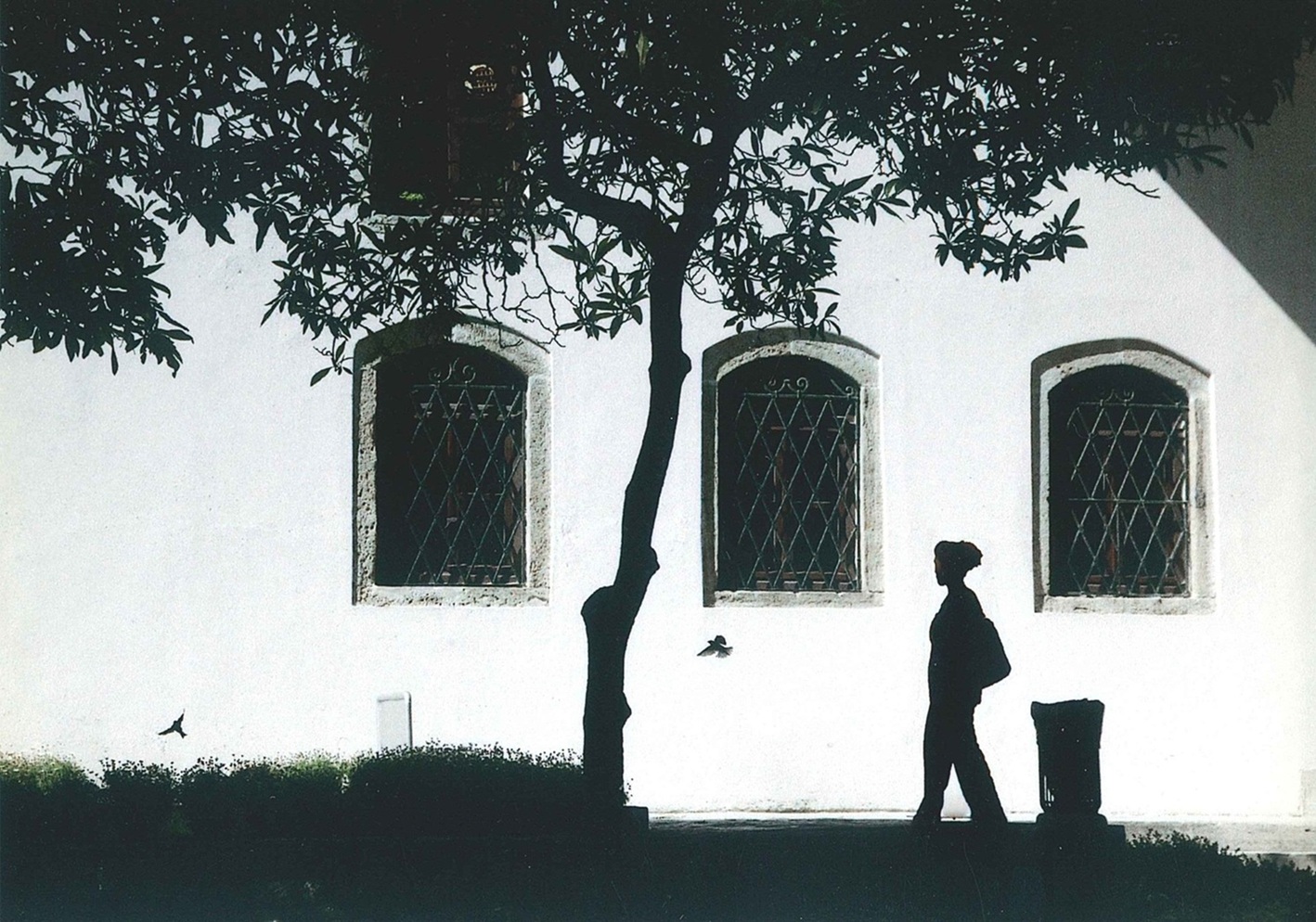 写真講座 ～初歩の初歩から中級まで。スマホもOK～