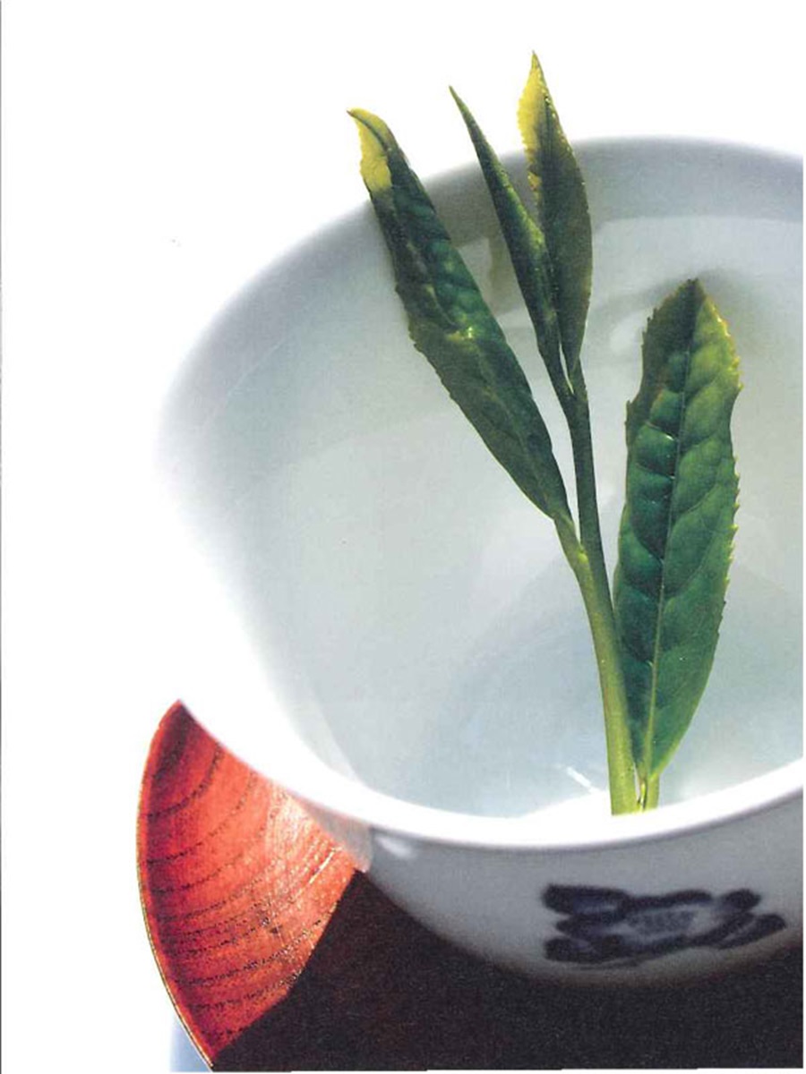 新茶をたのしむ