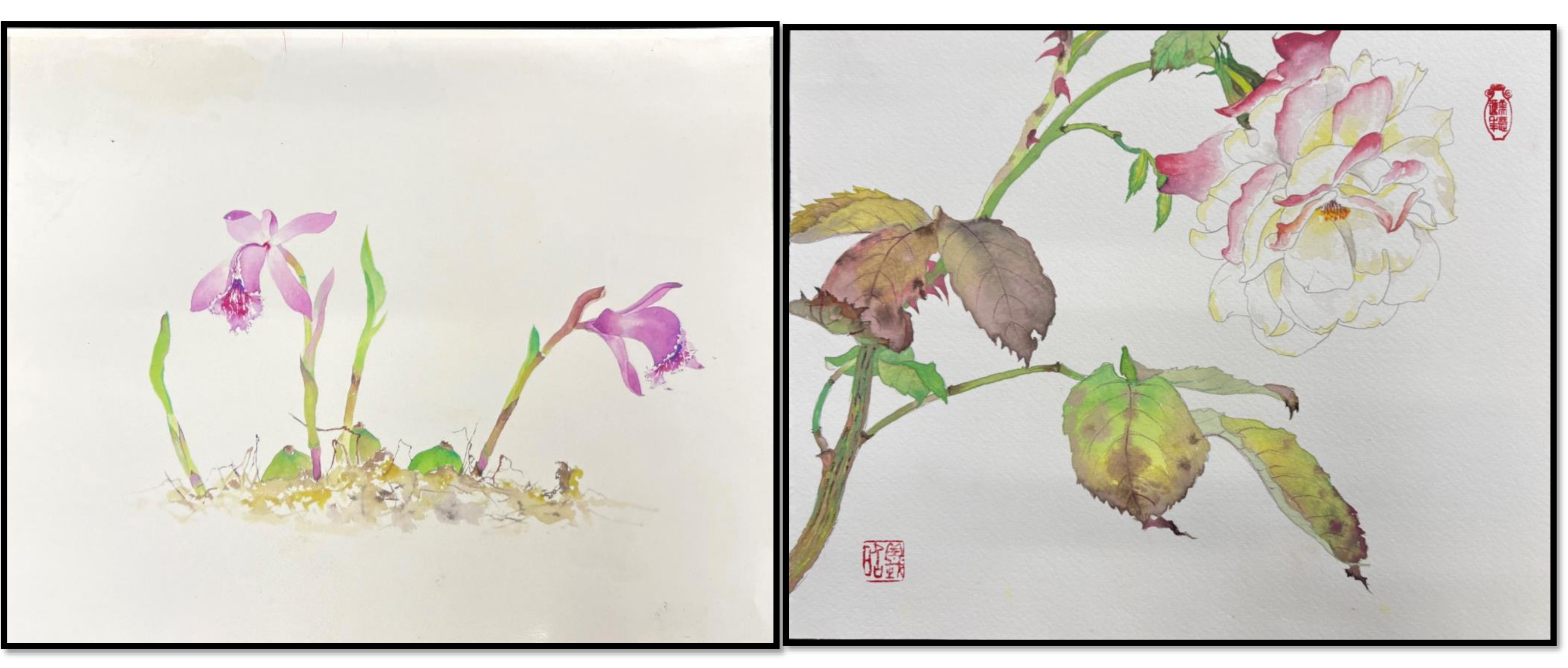 1day「花を描く（彩色）」