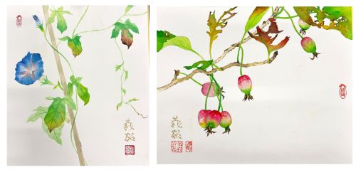 1day「花を描く（彩色）」
