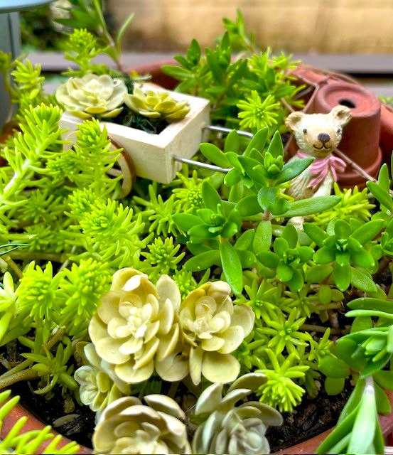  長岡教室【ワンデー講座】～サマーフラワーレッスン～ナチュラル素材の花あそび