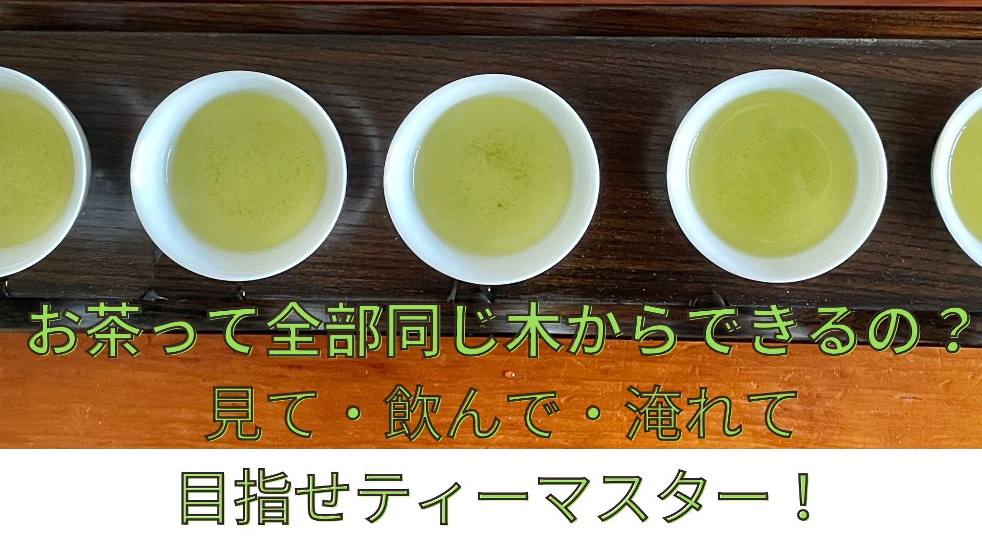 1day　子どもお茶博士講座  【ふむふむ】～お茶の種類を見て・飲んで・淹れてみよう～