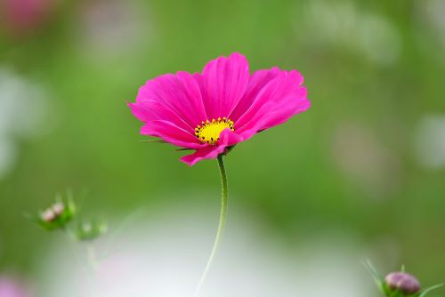 楽しい写真 AB