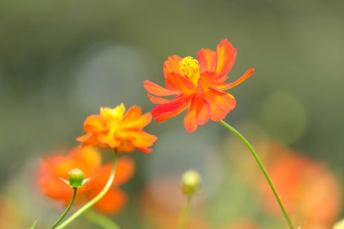 【完結】いまさら聞けない「デジタル写真」の基本（入門・初心者）３ヵ月 