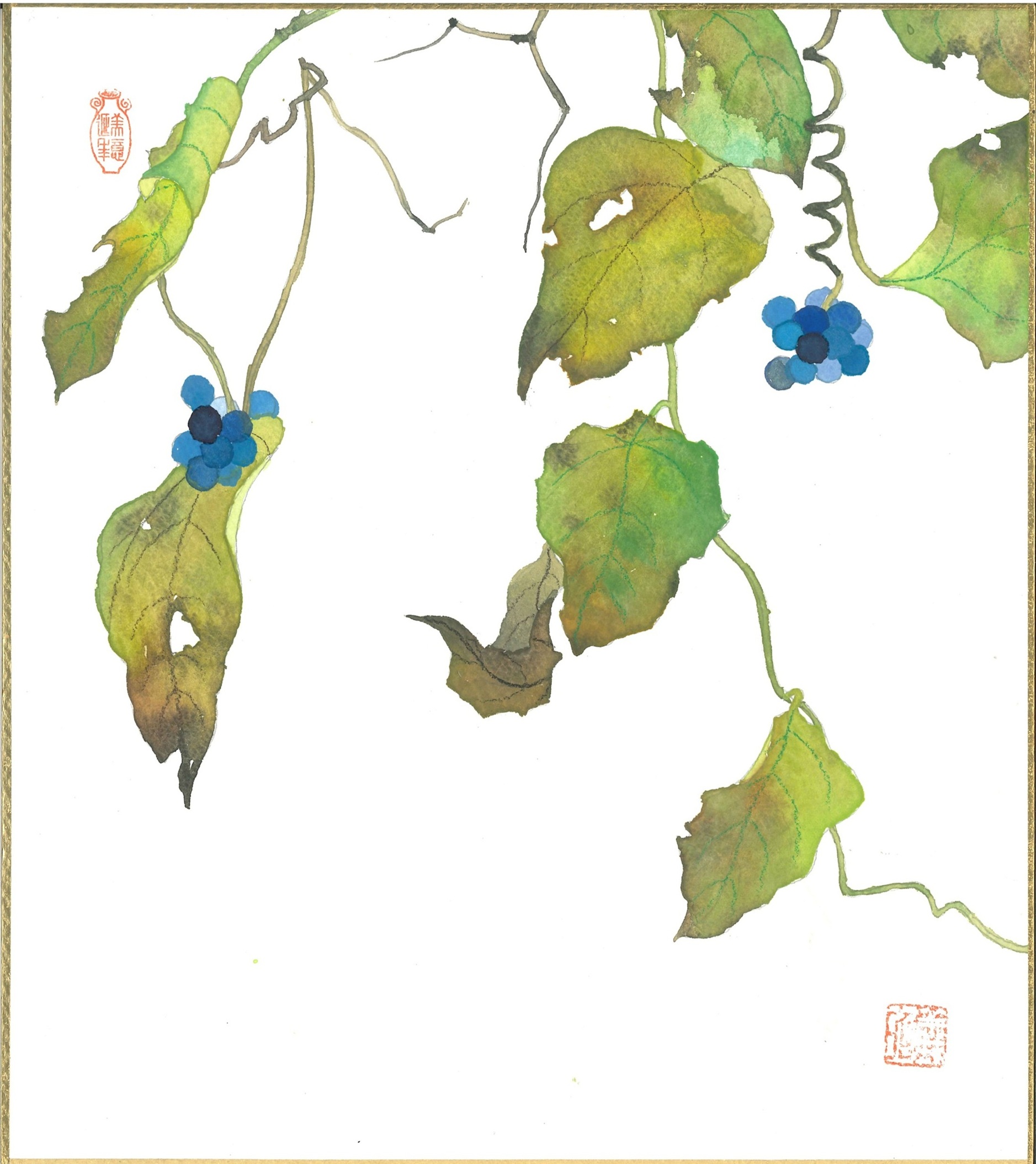  長岡教室【ワンデー講座】秋の風情を描く（青つづら藤）