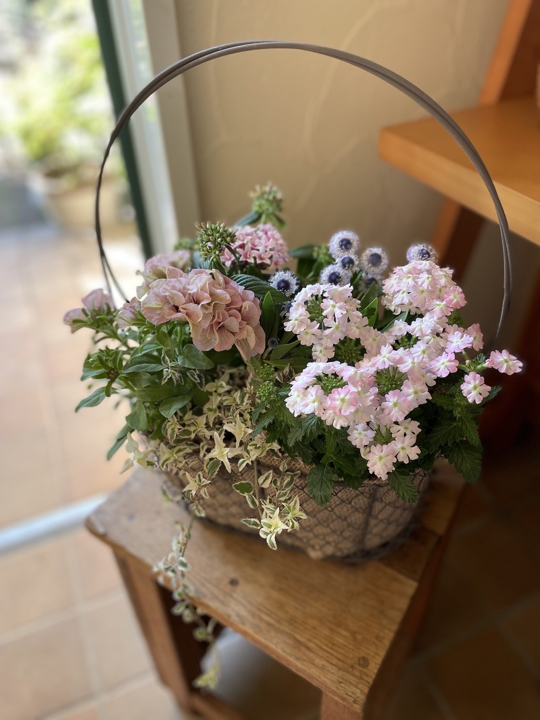 ボリュームたっぷり！花いっぱいの華やか寄せ植え（経験者向け）