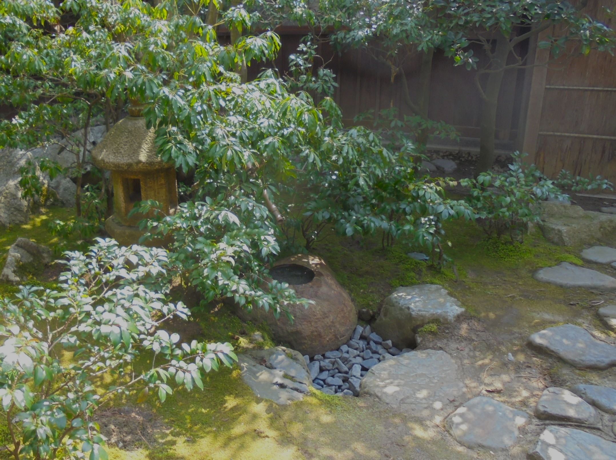 藤井　哲郎（庭屋一如（ていおくいちにょ）研究会　主宰）